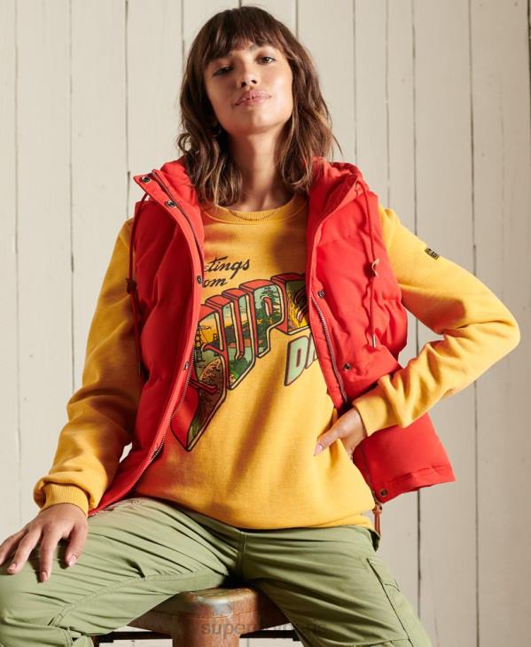Superdry femmes sweat ras du cou Heritage Mountain D64Z3463 vêtements or
