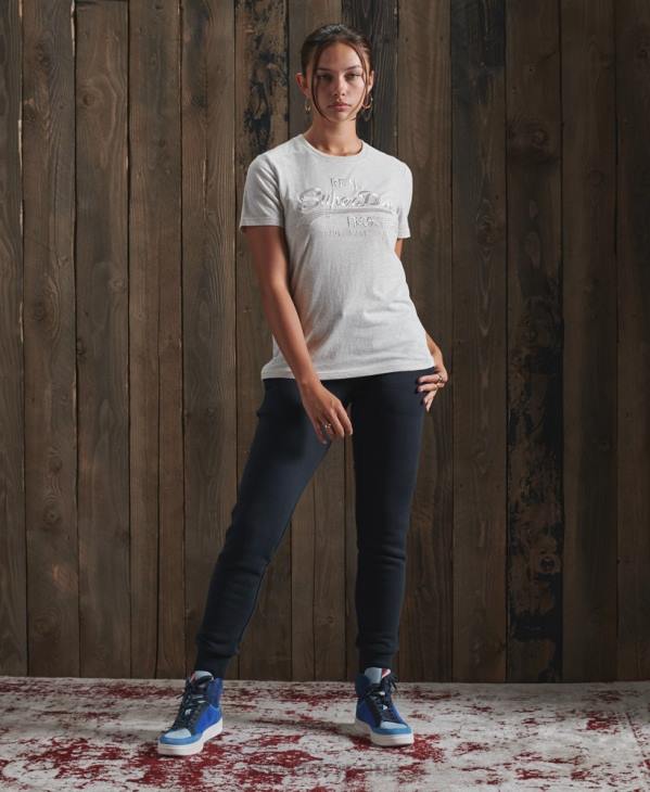 Superdry femmes t-shirt brodé ton sur ton à logo vintage D64Z6305 vêtements gris clair