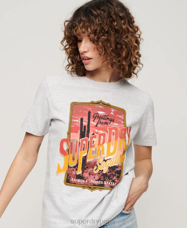 Superdry femmes t-shirt graphique souvenir de voyage D64Z2622 vêtements gris