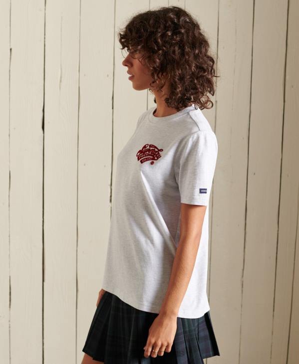 Superdry femmes t-shirt style universitaire floqué D64Z2775 vêtements gris clair