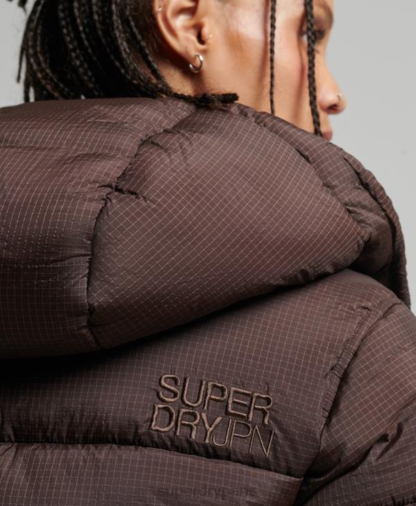 Superdry femmes doudoune indéchirable à capuche D64Z3576 vêtements brun