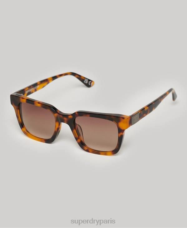 Superdry Hommes lunettes de soleil sdr garritsen D64Z15 accessoires brun