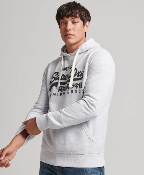 Superdry Hommes sweat à capuche à logo vintage D64Z853 vêtements gris clair