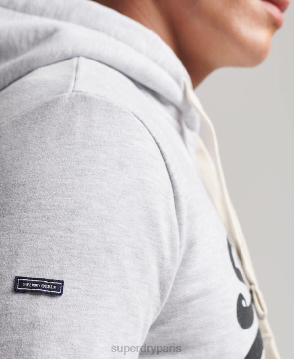 Superdry Hommes sweat à capuche à logo vintage D64Z853 vêtements gris clair