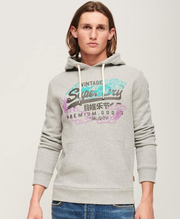 Superdry Hommes sweat à capuche à logo vintage D64Z855 vêtements gris