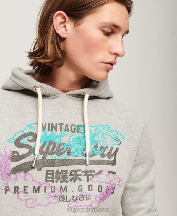 Superdry Hommes sweat à capuche à logo vintage D64Z855 vêtements gris