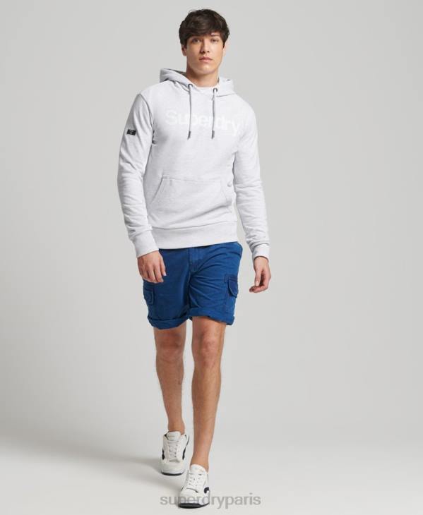 Superdry Hommes sweat à capuche non brossé à logo core D64Z866 vêtements gris clair