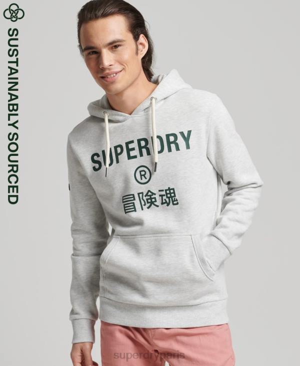 Superdry Hommes sweat à capuche vintage à logo d'entreprise D64Z5184 vêtements gris clair