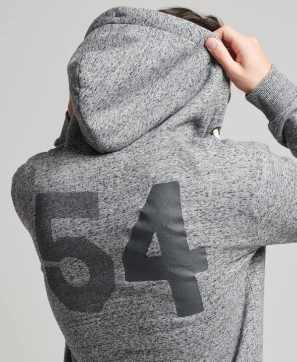 Superdry Hommes sweat à capuche zippé style script D64Z892 vêtements gris clair