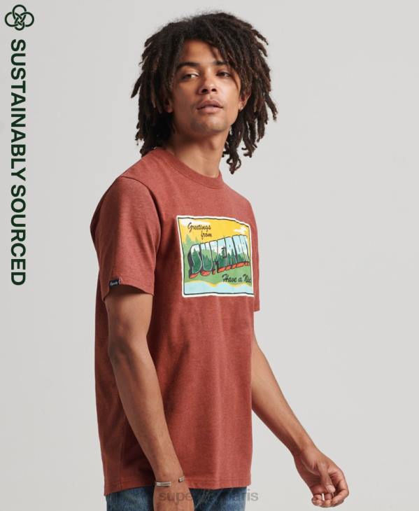 Superdry Hommes t-shirt graphique carte postale de voyage D64Z4820 vêtements rouge