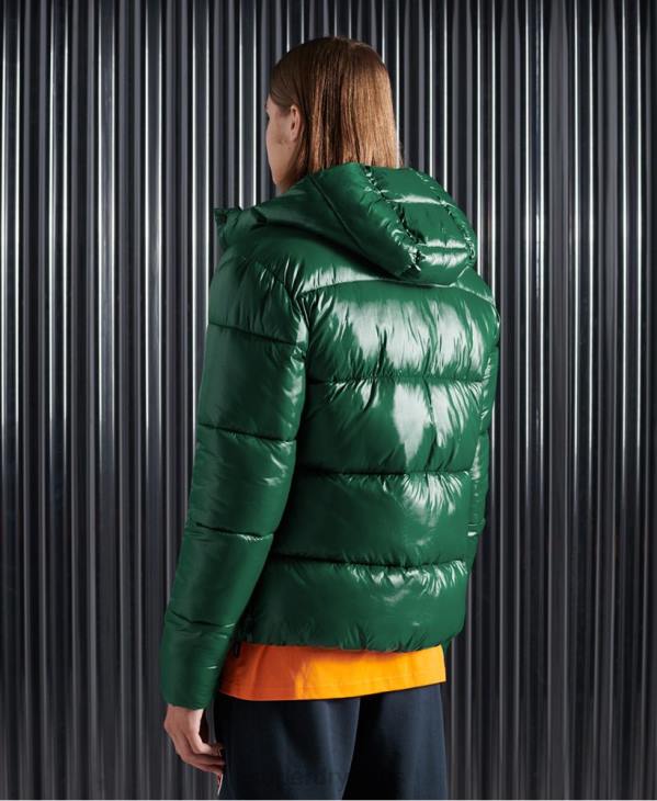 Superdry Hommes veste matelassée brillante D64Z1169 vêtements vert